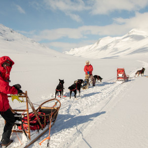 Overnattingstur med hundespann med Bergbjørn Fjellservice