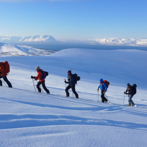 Ski-guiding med Bergbjørn Fjellservice