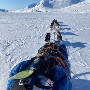 Toppturekspedisjon med hundespann, Bergbjørn Fjellservice