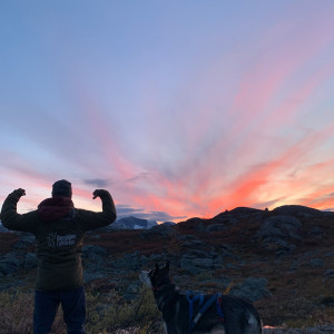 Hundekjøring med vogn med Bergbjørn Fjellservice